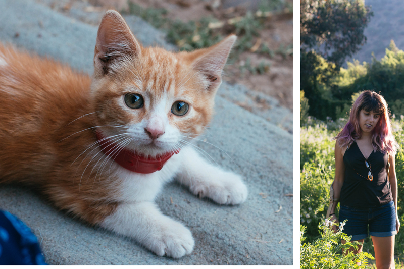 photo chile001_zpsuajfvqjz.png