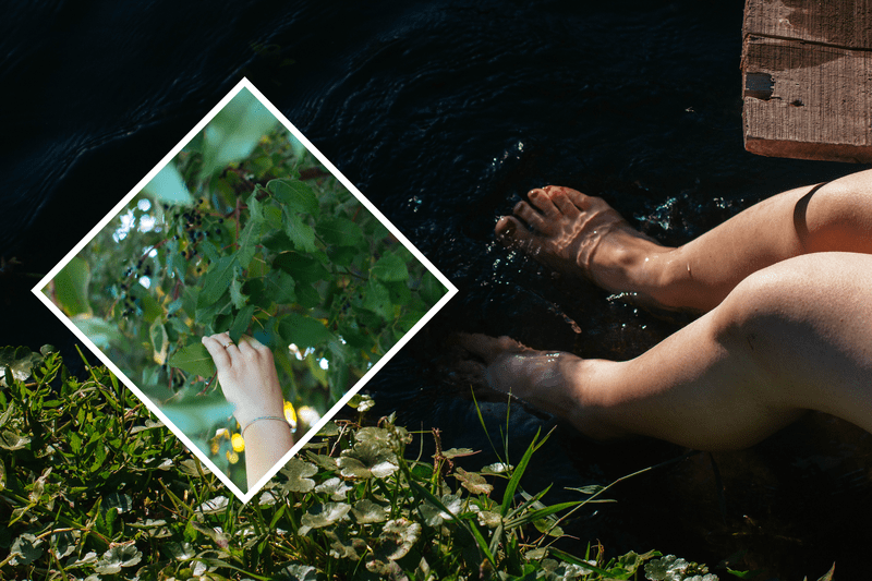 photo chile003_zpsgnismpps.png